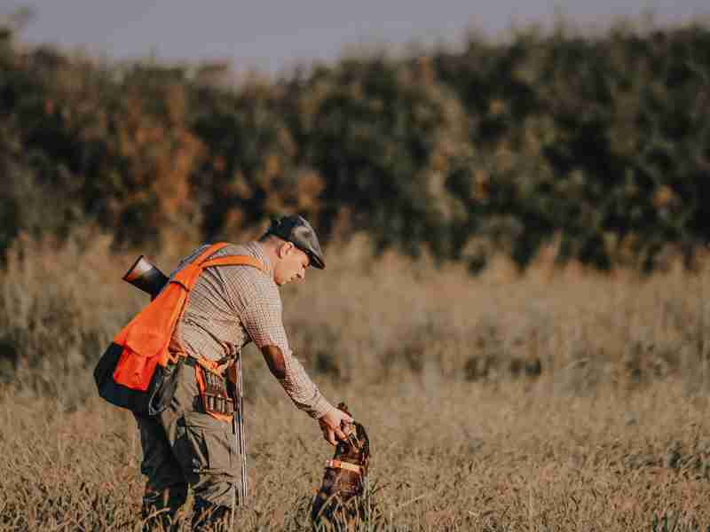 Carrying Capacity In Hunting