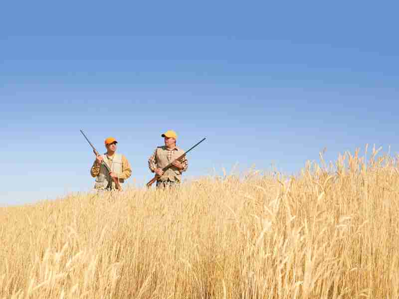 Where To Buy Hunting License Near