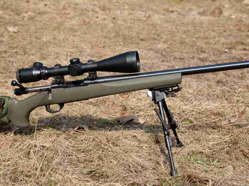 What Are The Factors When Choosing a Rifle To Hunt Whitetail Deer