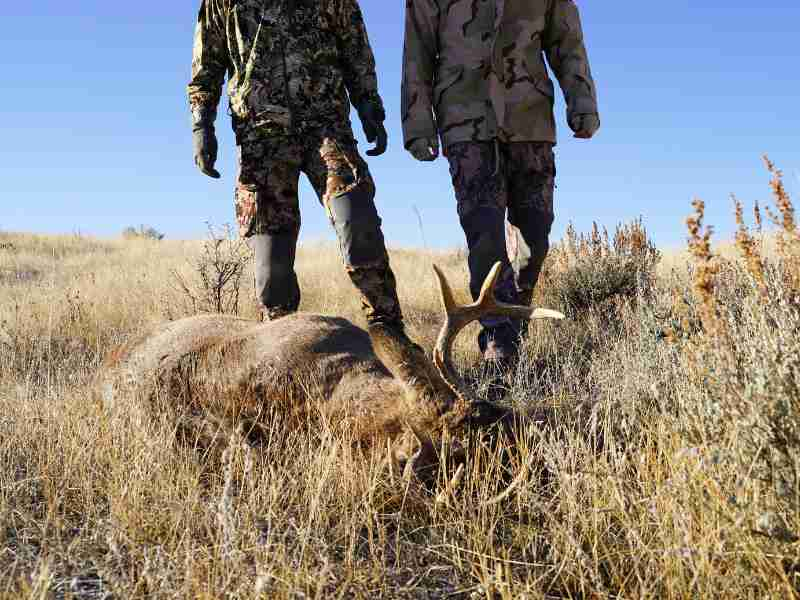 What To Do When Your Hunting Partner Suffers a Chest Wound