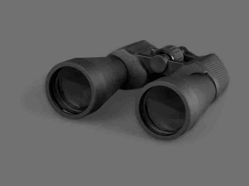 what are the best binoculars for safari?