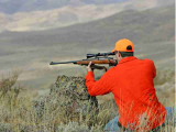 How Much Wind Is Too Much For Deer Hunting?