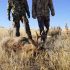 What Is The Best Dog For Hunting in 2023?